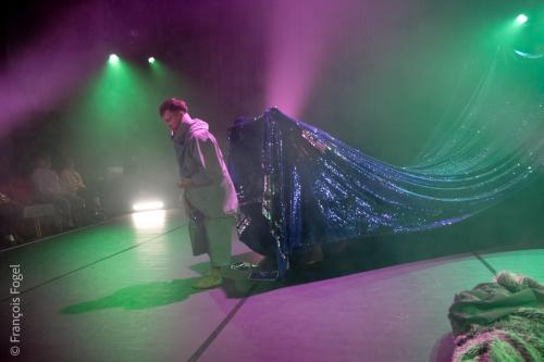 SÄLSKAP (SEAL KIN)by Sindri Runudde (SE)  at Young Dance Market 2023